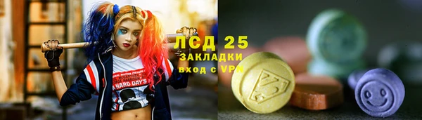 apvp Богородицк