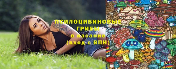 СК Богданович